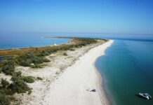 Російські загарбники забруднили Азовське море до критичного рівня, – ЦНС