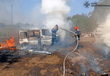 У Криворізькому районі зайнявся автомобіль та трава поруч