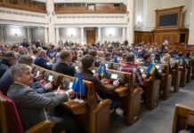 Рада підтримала законопроєкт щодо правового статусу іноземних добровольців, – нардеп