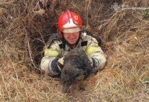 У Криворізькому районі рятувальники витягли з колодязя песика
