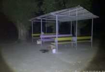 У Нікополі поліцейські затримали 39-річного чоловіка за підозрою у нанесенні тяжких тілесних ушкоджень