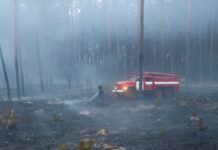 На Харківщині двоє людей постраждало унаслідок масштабної лісової пожежі – ОВА