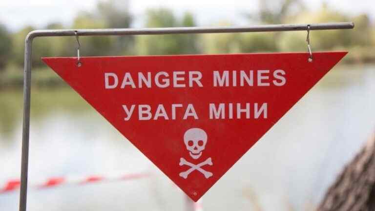 ВМС: на Одещині біля узбережжя знищили морську міну