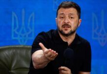 Зеленський: «всі визначені завдання» Курської операції реалізовуються