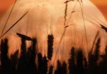 Повний місяць 18-19 вересня: що не можна робити цього дня, щоб не накликати біду