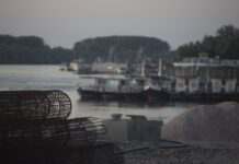 У Румунії перевіряють місця, де міг впасти російський дрон