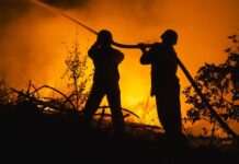 У Сумській області згоріло 50 гектарів лісу через постійні обстріли окупантів