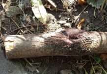 Кам’янчанин забив знайомого до смерті: убивцю затримали