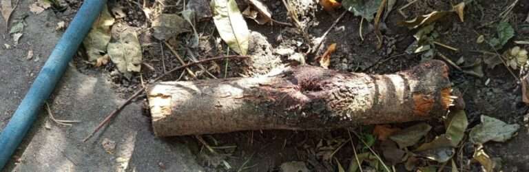 Кам’янчанин забив знайомого до смерті: убивцю затримали