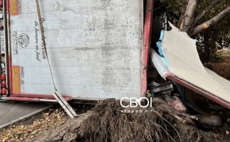 Тварини, що вижили, ходять вулицею або верещать у вантажівці: у Кривому Розі перекинулась фура з поросятами