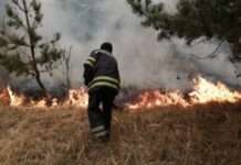 Міндовкілля: триває гасіння пожеж в Чорнобильській зоні, вогонь пройшов понад 2600 га
