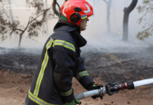 Дніпровський район: вогнеборці ліквідували масштабну пожежу в лісовому масиві