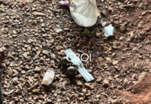 Небезпечний улов: у Кривому Розі 11-річний хлопець виловив гранати на вудочку