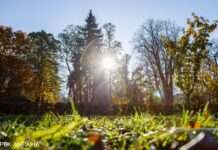 Літо повертається? Синоптик дала детальний прогноз на вихідні в Україні