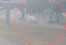 На Набережній Перемоги у Дніпрі Honda влетіла у дерево: деталі