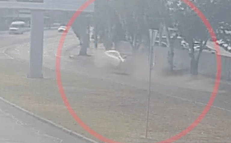 На Набережній Перемоги у Дніпрі Honda влетіла у дерево: деталі