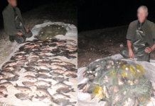 Понад 200 000 гривень збитків державі: на Запоріжжі поліцейські викрили браконьєра