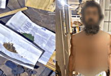 10 років тюрми за зберігання та вирощування наркотичних рослин: у Дніпрі виявили 48-річного зловмисника