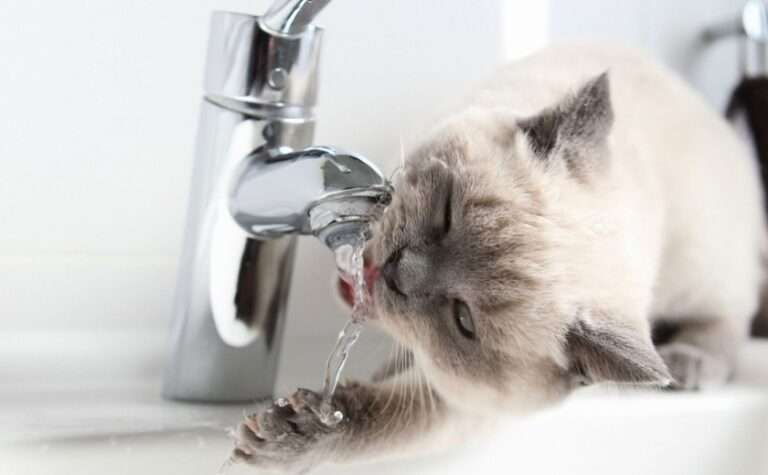 Аварія на водогоні: проблеми з водопостачанням на 6 житлових масивах Дніпра