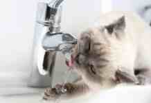 Масштабні відключення води у Дніпрі 5 вересня: адреси