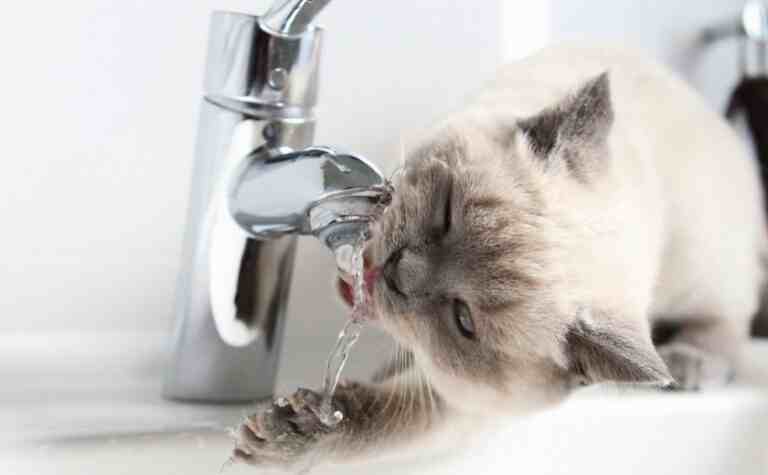 Масштабні відключення води у Дніпрі 5 вересня: адреси