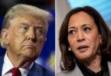 Трамп і Гарріс замість других дебатів можуть дати інтерв’ю, – Axios