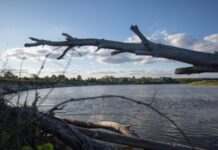 Попри забруднення Десни і Сейму, якість води у Києві в нормі – Міндовкілля