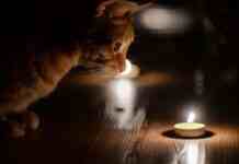 Планові відключення світла у Дніпрі з 3 по 5 вересня: адреси