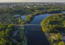 Десна біля Чернігова потемніла та фіксується масовий замор риби