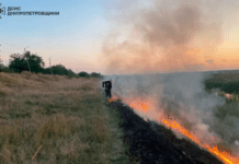 За добу на Дніпропетровщині ліквідовано 54 пожежі в природних екосистемах