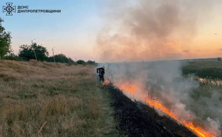 За добу на Дніпропетровщині ліквідовано 54 пожежі в природних екосистемах