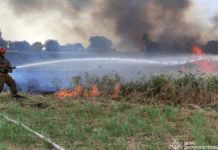 Вогнеборці Дніпропетровщини ліквідували 146 пожеж в екосистемах за добу