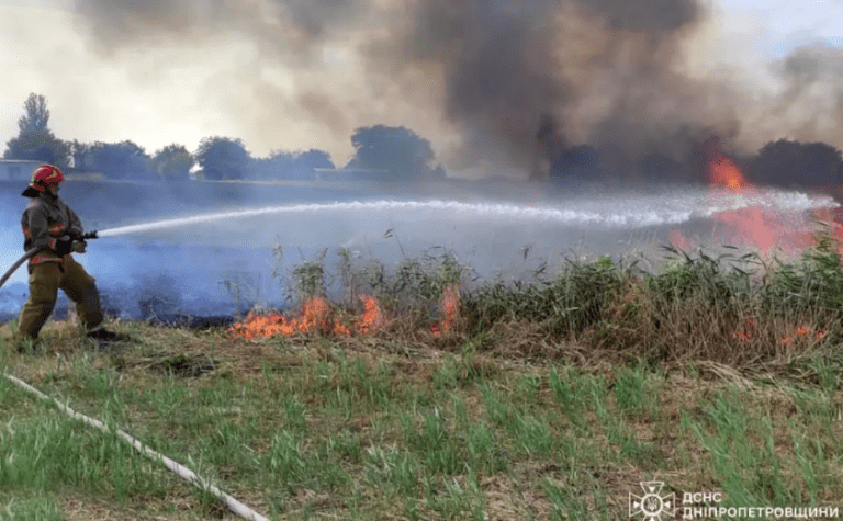 Вогнеборці Дніпропетровщини ліквідували 146 пожеж в екосистемах за добу