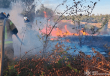 47 загорянь за добу: рятувальники Дніпропетровщини продовжують боротися з пожежами в екосистемах