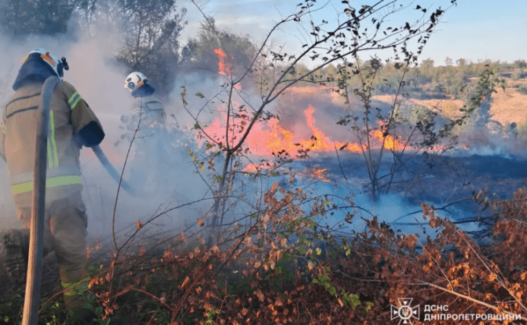 47 загорянь за добу: рятувальники Дніпропетровщини продовжують боротися з пожежами в екосистемах