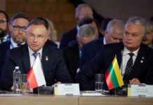 Польща та Литва готові навчати українських військових на спільній платформі, – Науседа