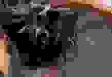 Будуть чистими набагато довше: як правильно мити волосся