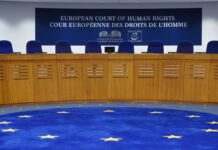 Суддя ЄСПЛ відповів, що потрібно для конфіскації російських активів на користь Україні