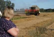 Зростання ВВП України прискорилося попри відключення світла: Мінекономіки назвало причину