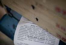 “Укрпошта” почала розсилати повістки: як вони виглядають