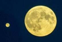 У Землі на деякий час з’явиться ще один “Місяць”: що відомо про незвичайне явище