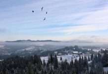 Чи буде сніг в Україні десь ще, крім Карпат: відповідь синоптика