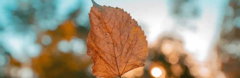 В Україні різко зміниться погода: коли очікувати на значне похолодання