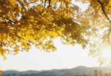 День осіннього рівнодення 2024 року: що це за дата та чим вона особлива