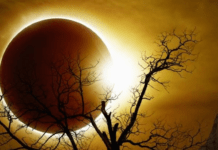 Кармічні процеси, духовні трансформації та зміни в житті: що принесе з собою коридор затемнень