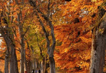 Прогноз погоди на вихідні: якою буде погода в Україні 21 і 22 вересня