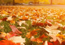 В Україну йде хвиля потепління: якою буде погода протягом тижня