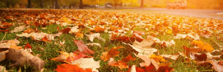 В Україну йде хвиля потепління: якою буде погода протягом наступного тижня