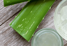 Чудо-рослина алое: користь для здоров’я, про яку ви не знали