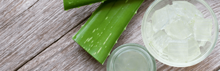 Чудо-рослина алое: користь для здоров’я, про яку ви не знали